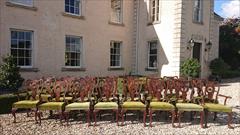 22 dining chairs debenham house 14 and 8 incl 4 the singles 22w 22d 18½hs 39h the carvers 25w _7.JPG